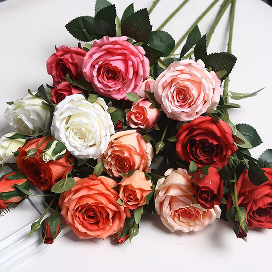 개집 개집 부드러운 애완 동물 침대 작은 고양이 텐트 꽃 모양의 고양이 침대