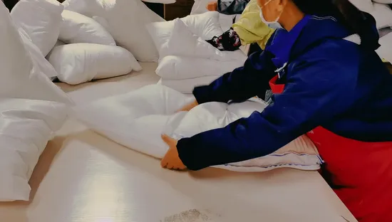 제조 업체 도매 100% 유기농 면 쉘 거위/오리 깃털 아래로 채워진 프리미엄 품질 표준 크기 호텔 홈 침대 진공 포장 베개 자고